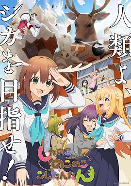 非完美交易